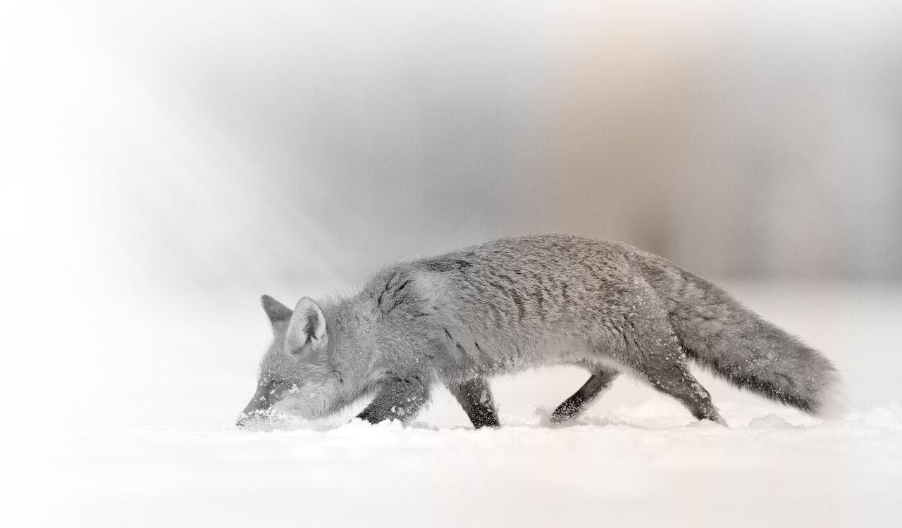 © ondrejprosicky - stock.adobe.com