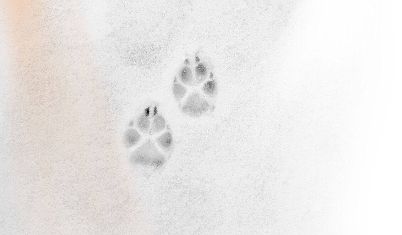 © iama_sing - stock.adobe.com